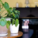 Très Jolie Maison De - 6 Personnes La Pironnière