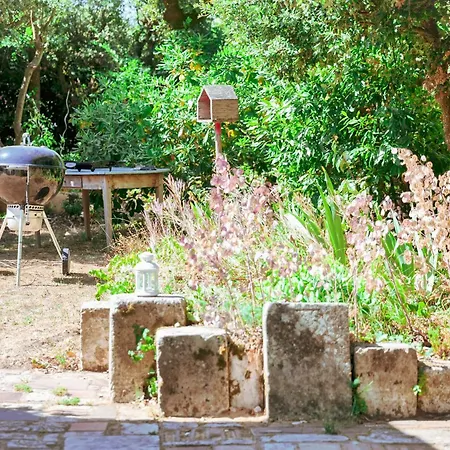 Vakantiehuis Tres Jolie Maison De - 6 Personnes *