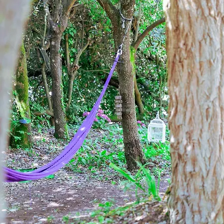 Vakantiehuis Tres Jolie Maison De - 6 Personnes La Pironnière