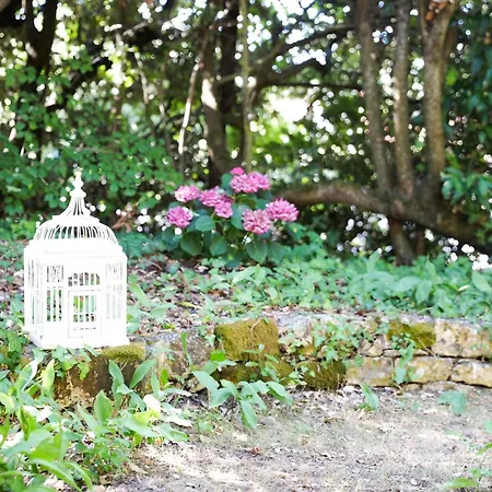 Tres Jolie Maison De - 6 Personnes Vakantiehuis *