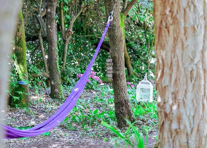 Nyaraló Tres Jolie Maison De - 6 Personnes La Pironnière