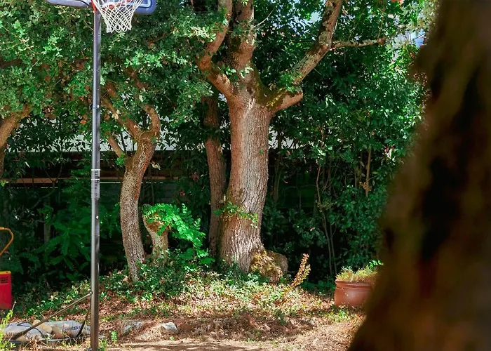 Tres Jolie Maison De - 6 Personnes La Pironnière