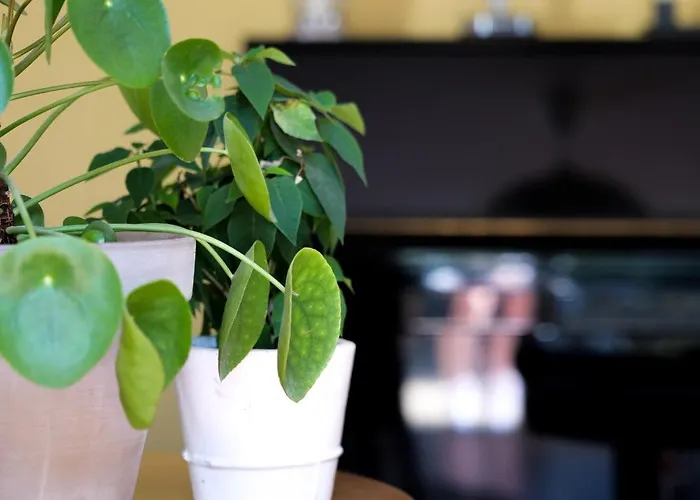 Tres Jolie Maison De - 6 Personnes La Pironnière